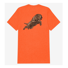 |Blaze Orange
