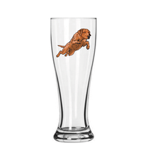 Load image into Gallery viewer, Flying Lab Pilsner Glass
