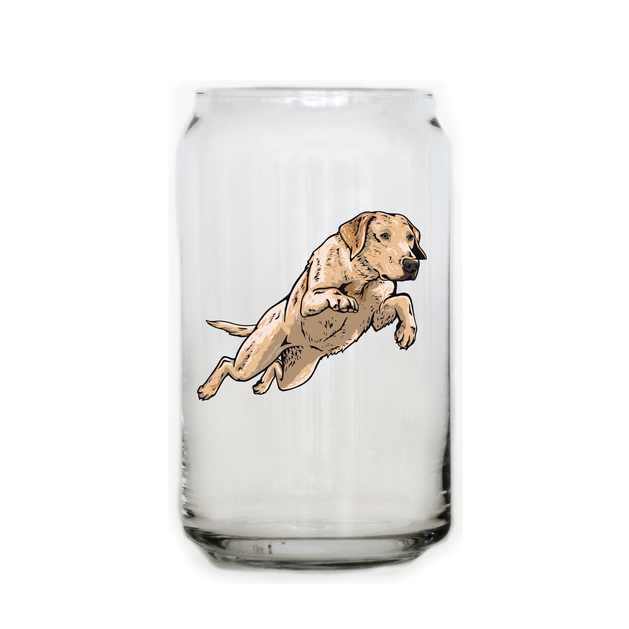 |Chocolate Lab