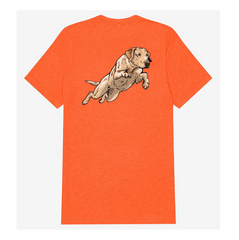 |Blaze Orange