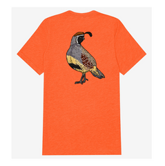 |Blaze Orange