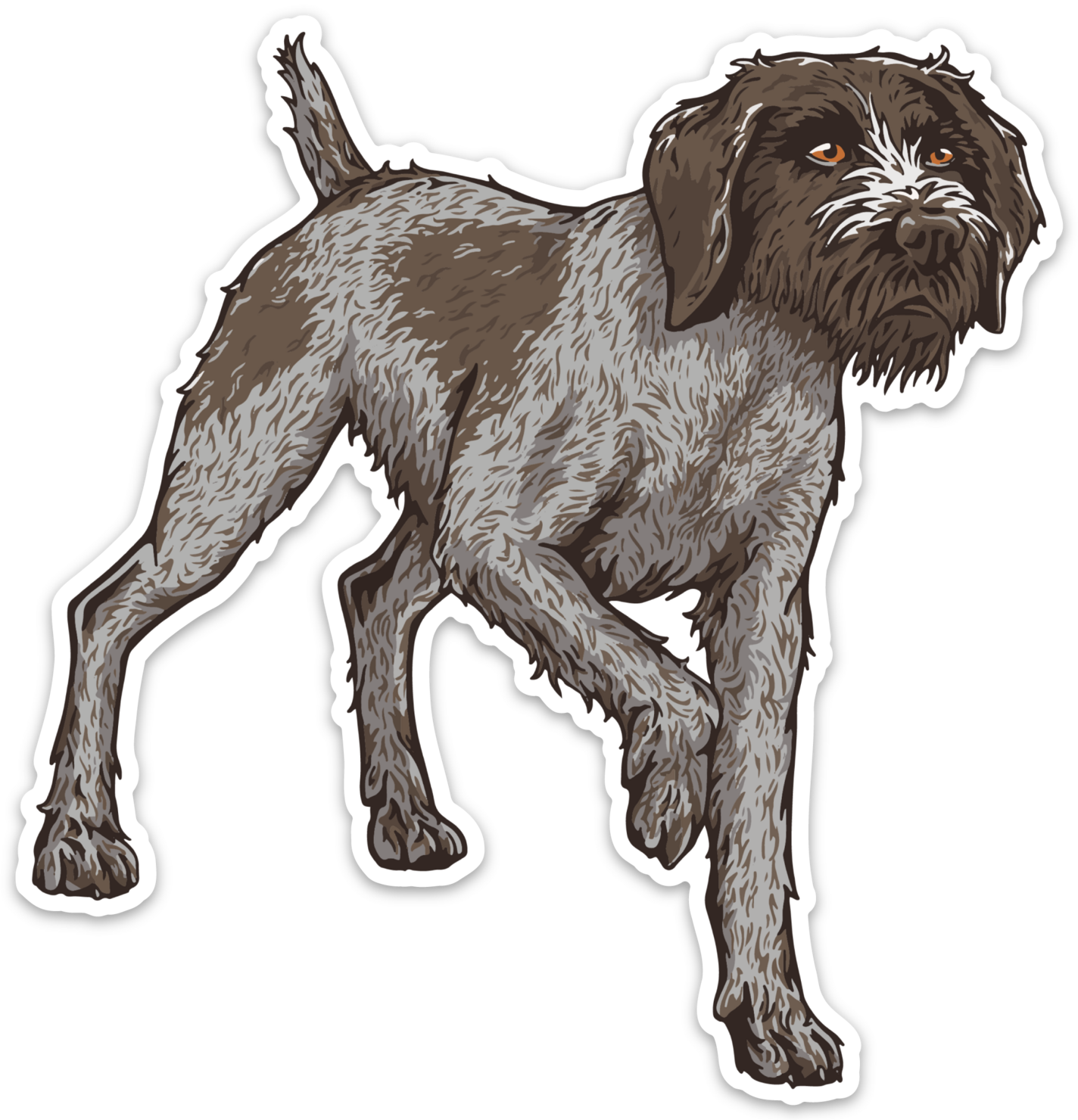 German Wirehair Decal Sticker