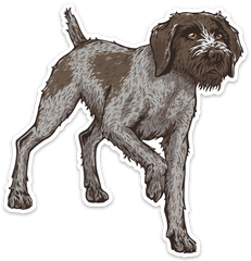 German Wirehair Decal Sticker