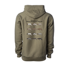 Load image into Gallery viewer, GSP Colors Hoodie
