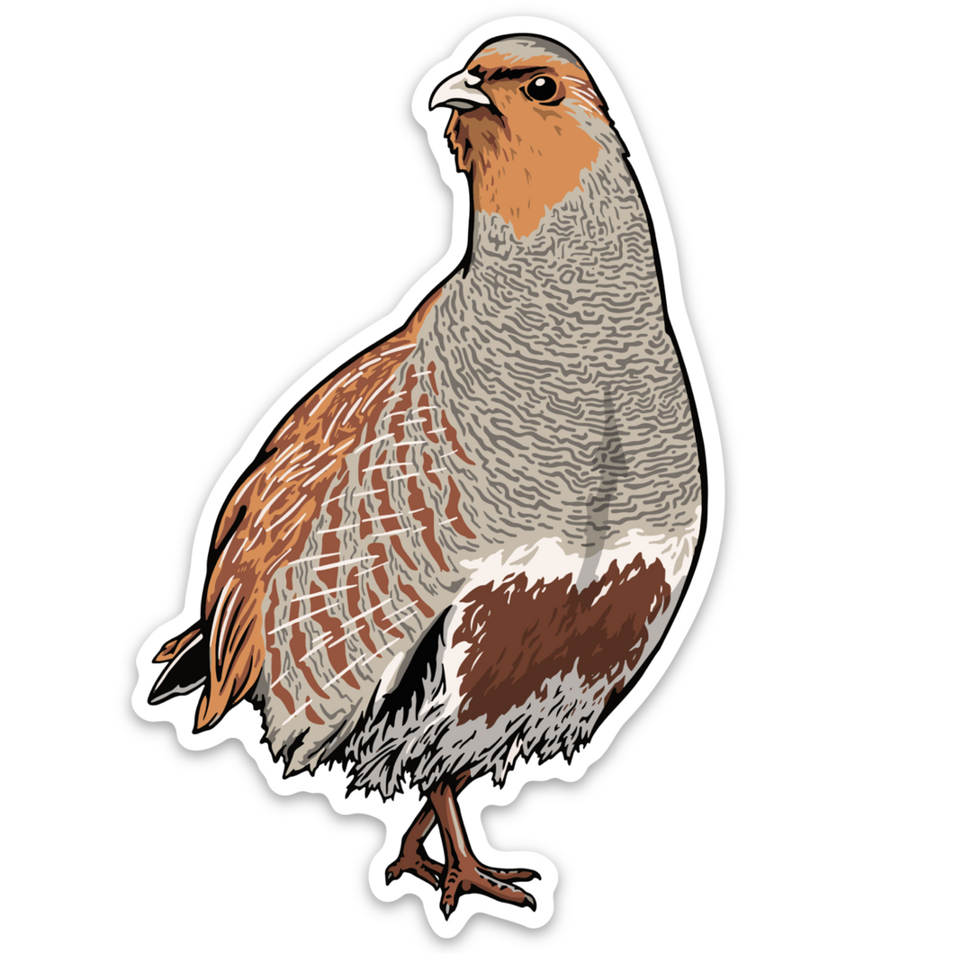 Hungarian Partridge Decal Sticker