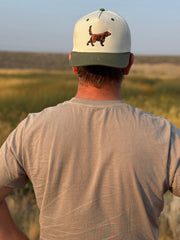 Irish Setter Hat