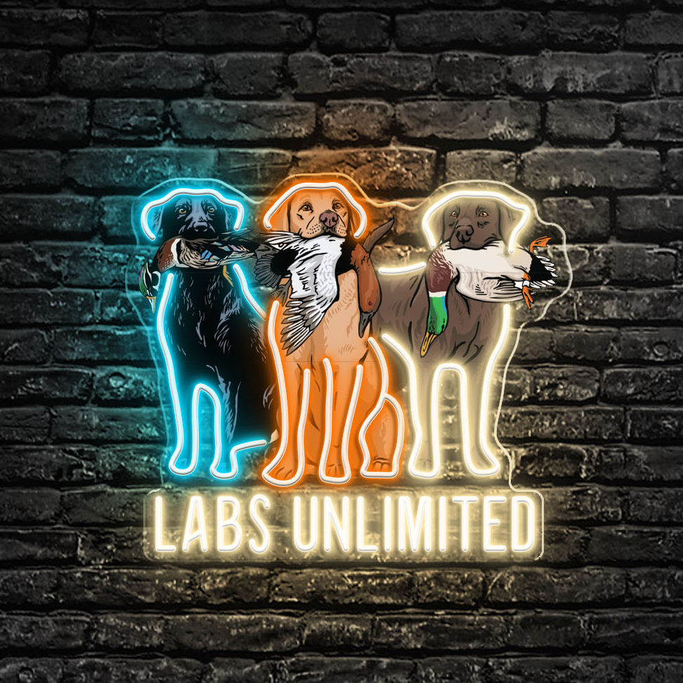 Labs Unlimited LED Neon Sign