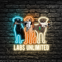 Load image into Gallery viewer, Labs Unlimited Neon Sign
