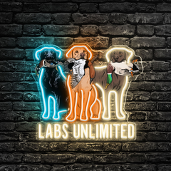 Labs Unlimited LED Neon Sign
