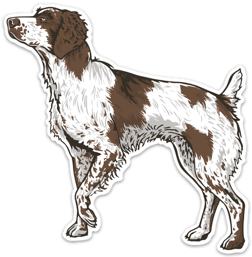 Brittany top spaniel gifts