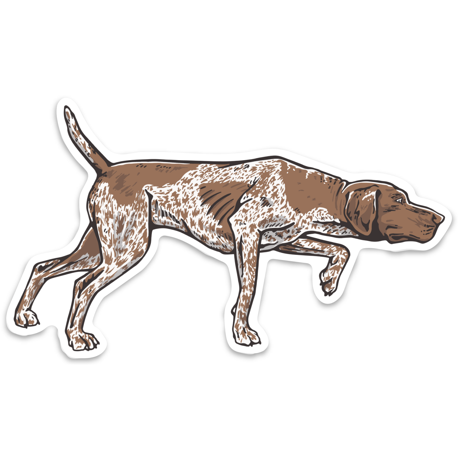GSP Colors Decal Sticker | Bird Dog of the Day
