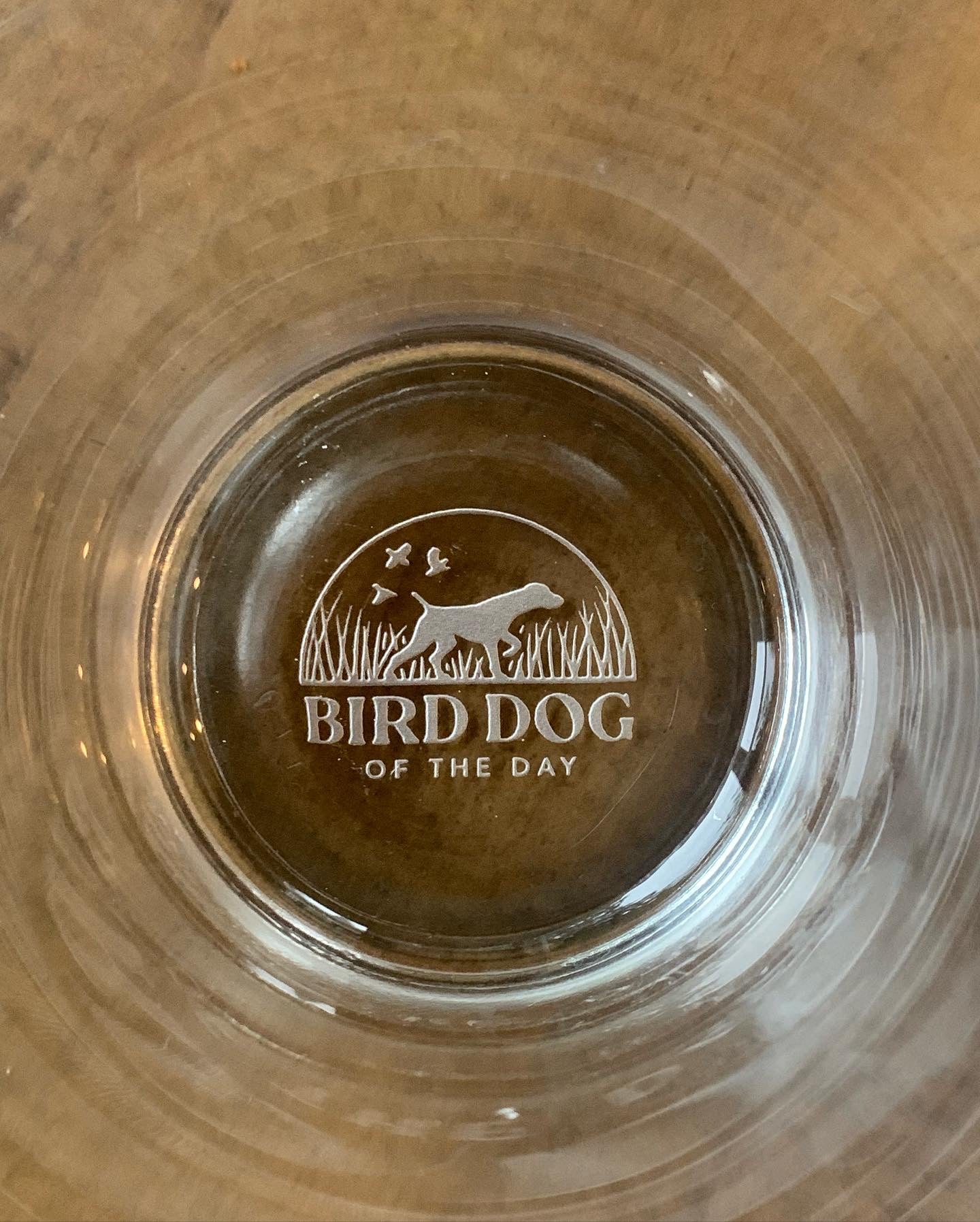 Birdy Beard Pilsner Glass