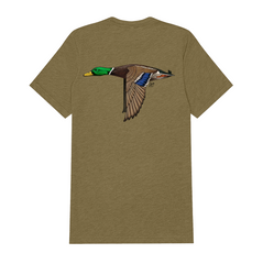 |Olive