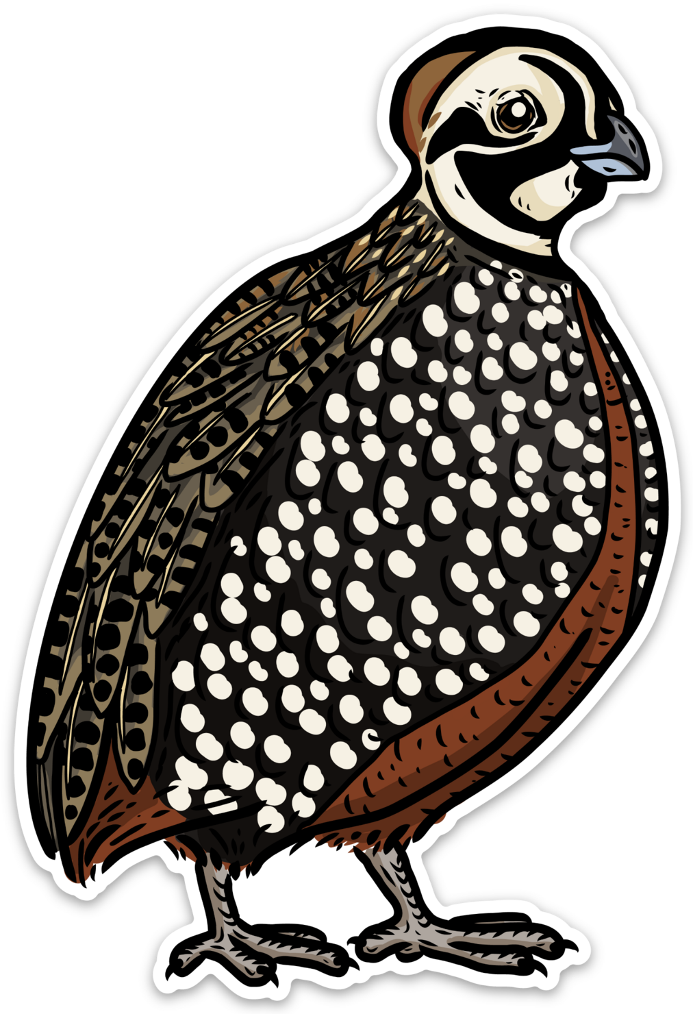 Mearns Quail Decal Sticker