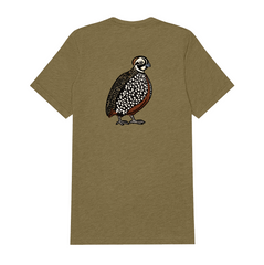 |Olive