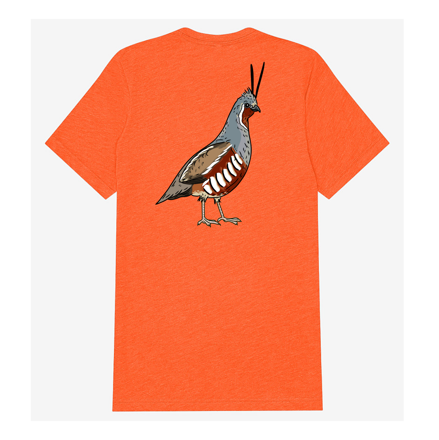 |Blaze Orange