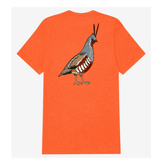|Blaze Orange