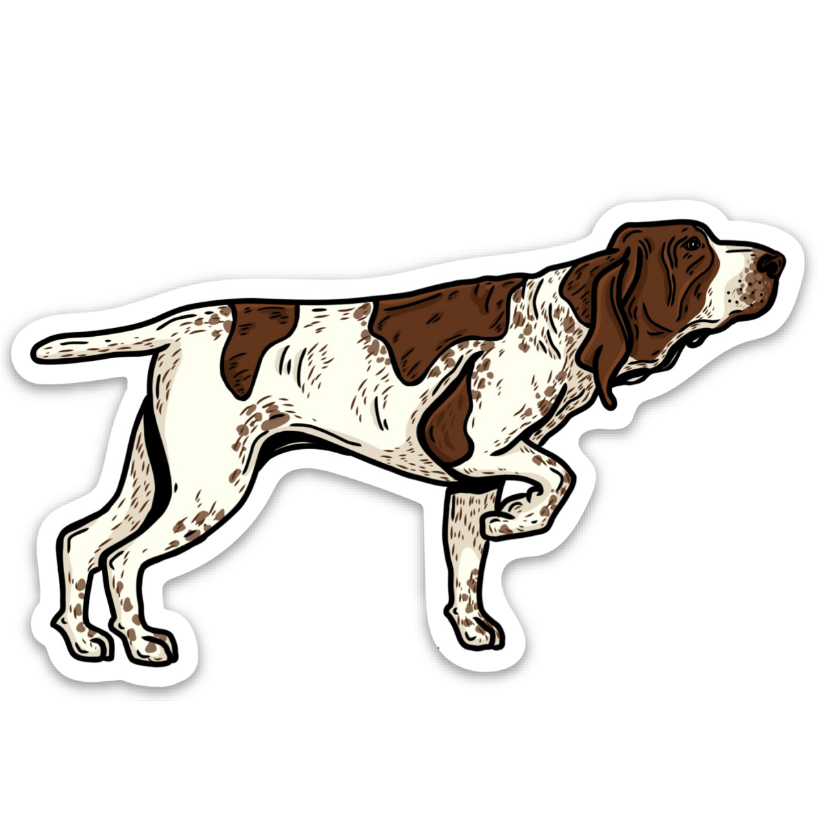 My First Bracco Decal Sticker