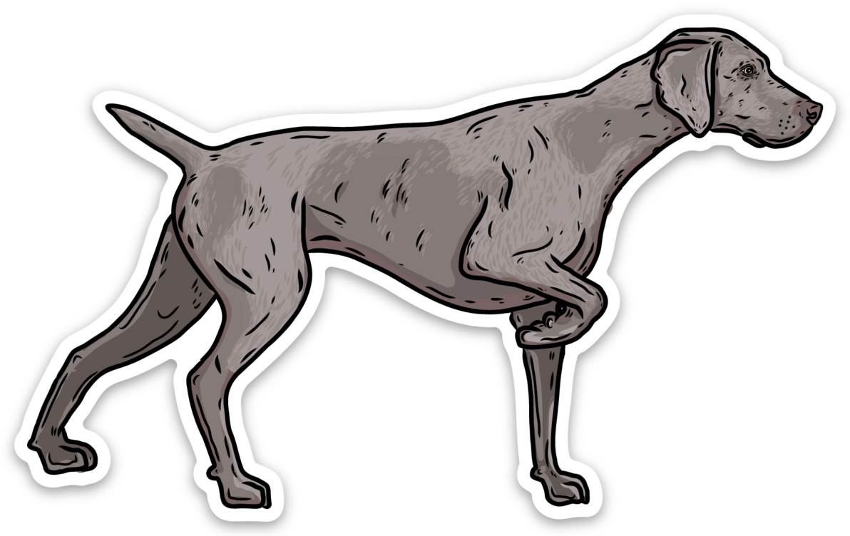 My First Weimaraner Decal Sticker