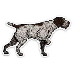 My First Wirehair Decal Sticker