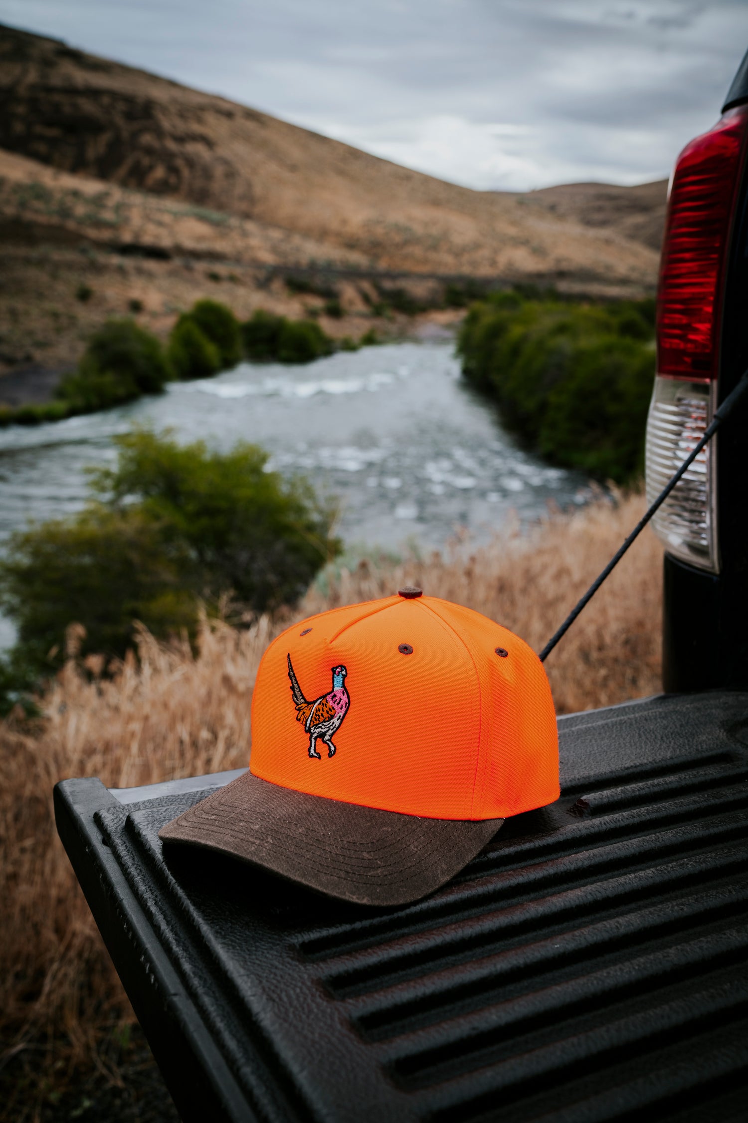 Pheasant Hat