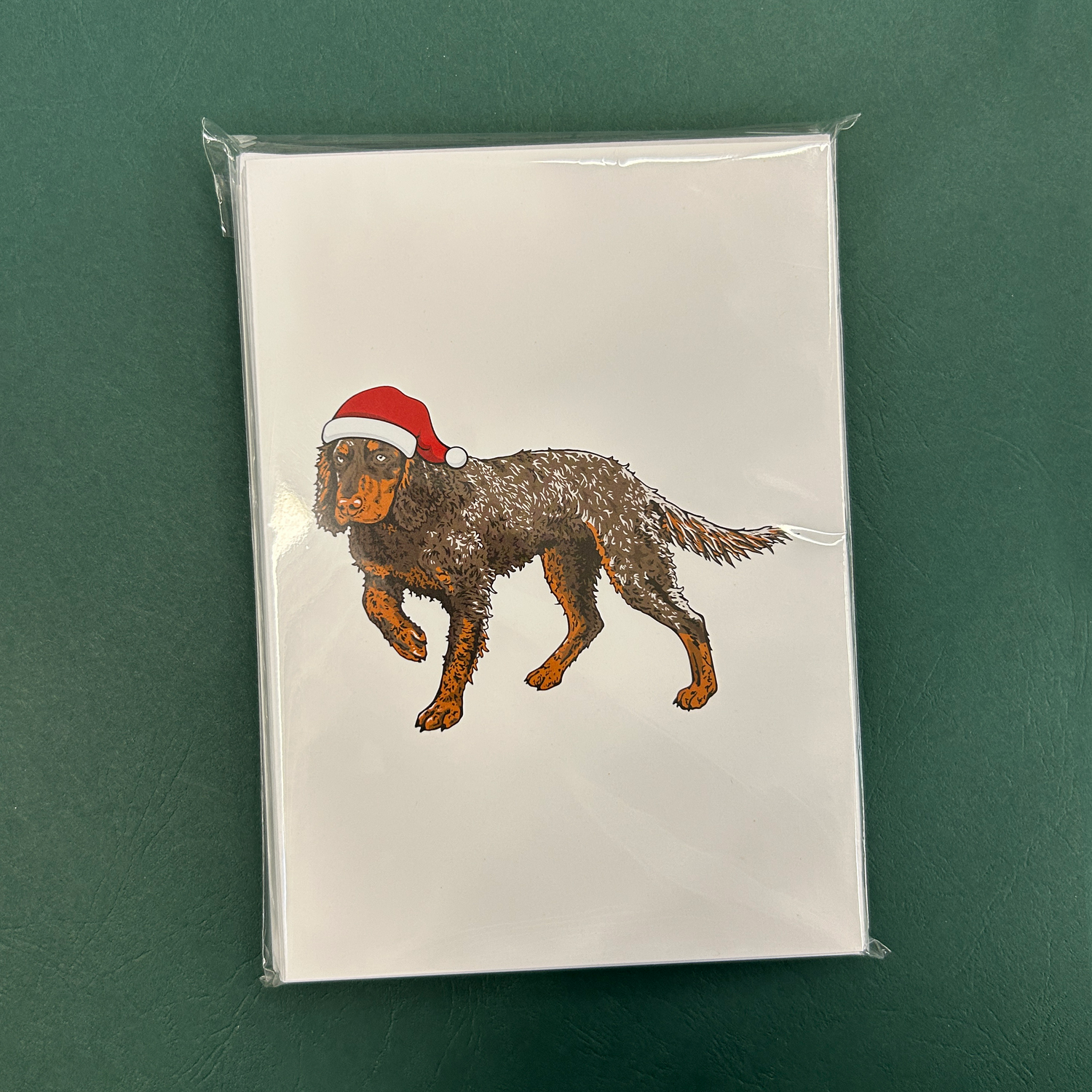 Picardy Spaniel Christmas Cards - Set of 12