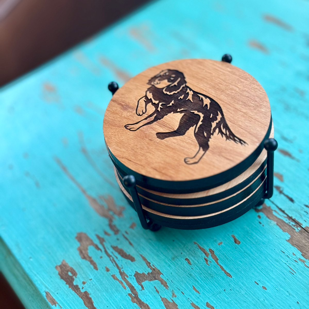 Spaniel Set Picardy Spaniel Coaster Set | Bird Dog of the Day