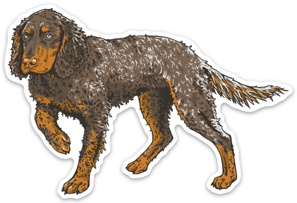 Picardy Spaniel Decal Sticker