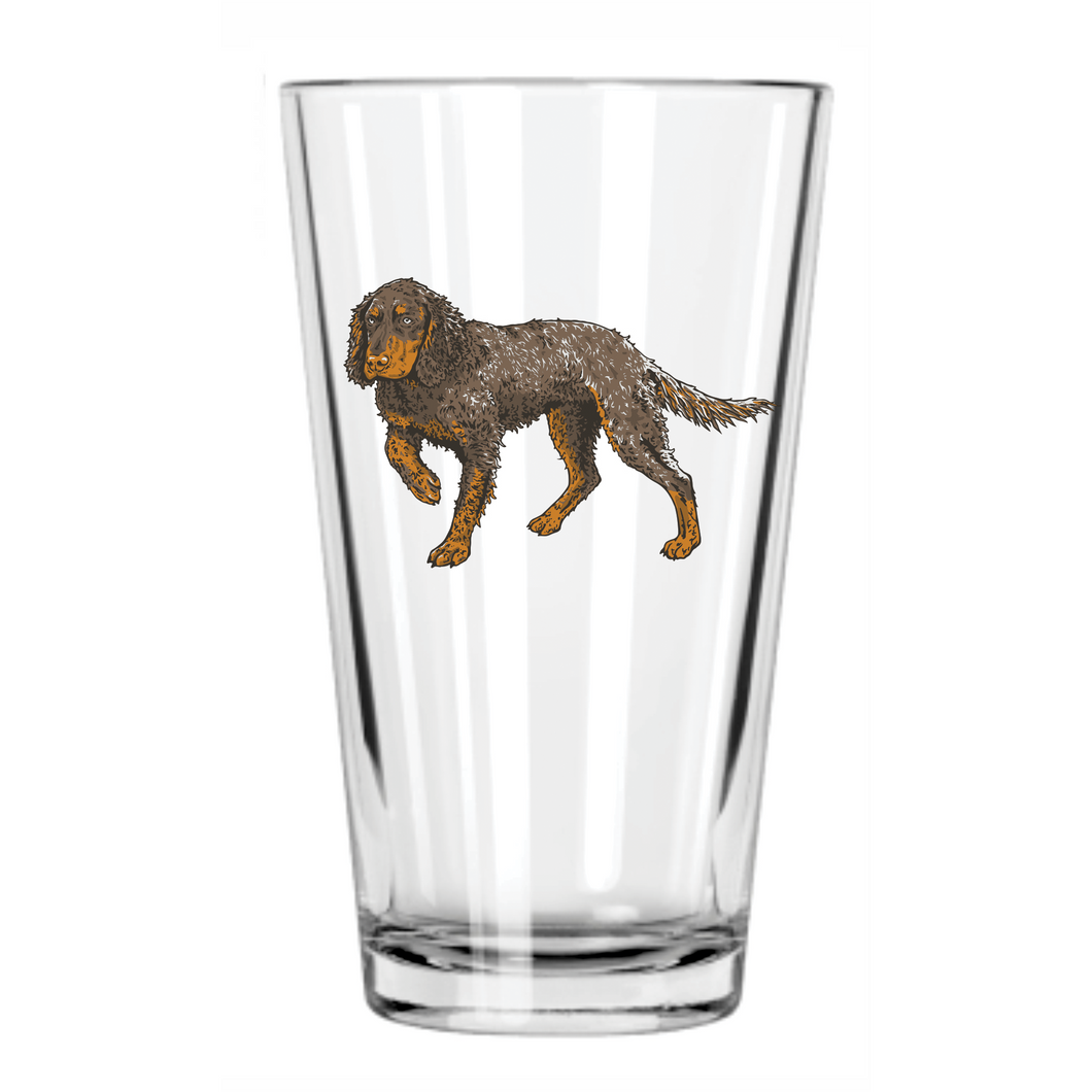 Picardy Spaniel Pint Glass