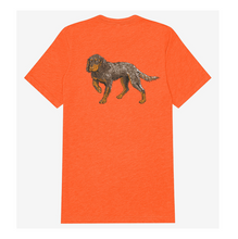 Load image into Gallery viewer, Picardy Spaniel T-Shirt
