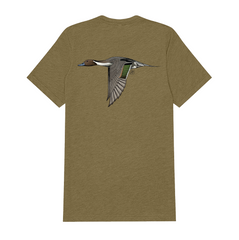 |Olive