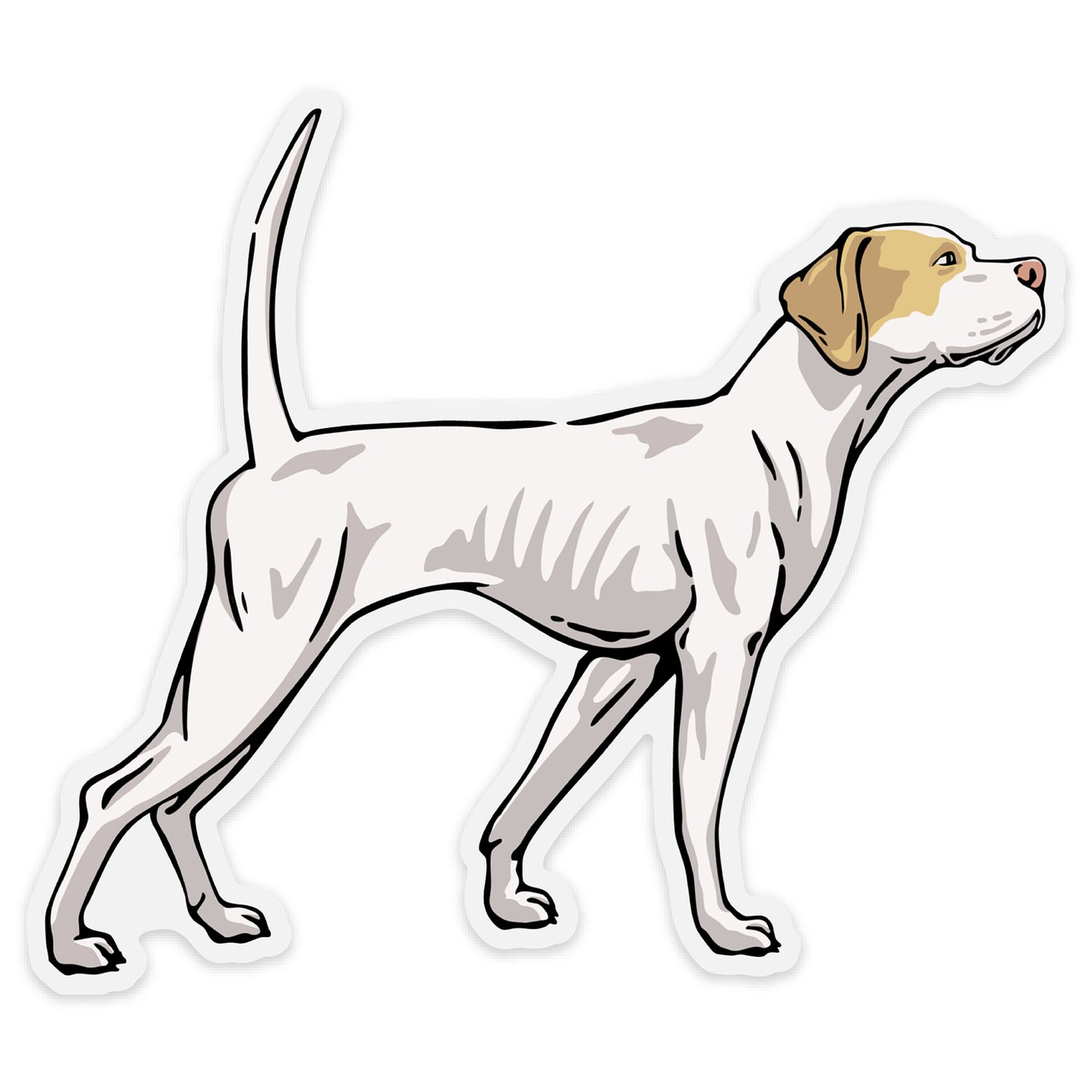 Onpoint Decals Brittany on Point Decal Sticker| Bird Dog of the Day