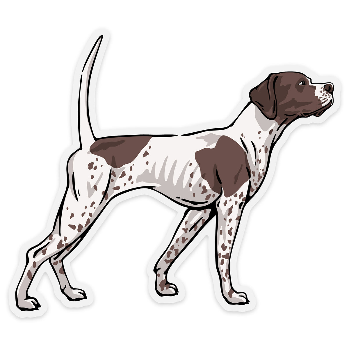 Brittany on Point Decal Sticker| Bird Dog of the Day