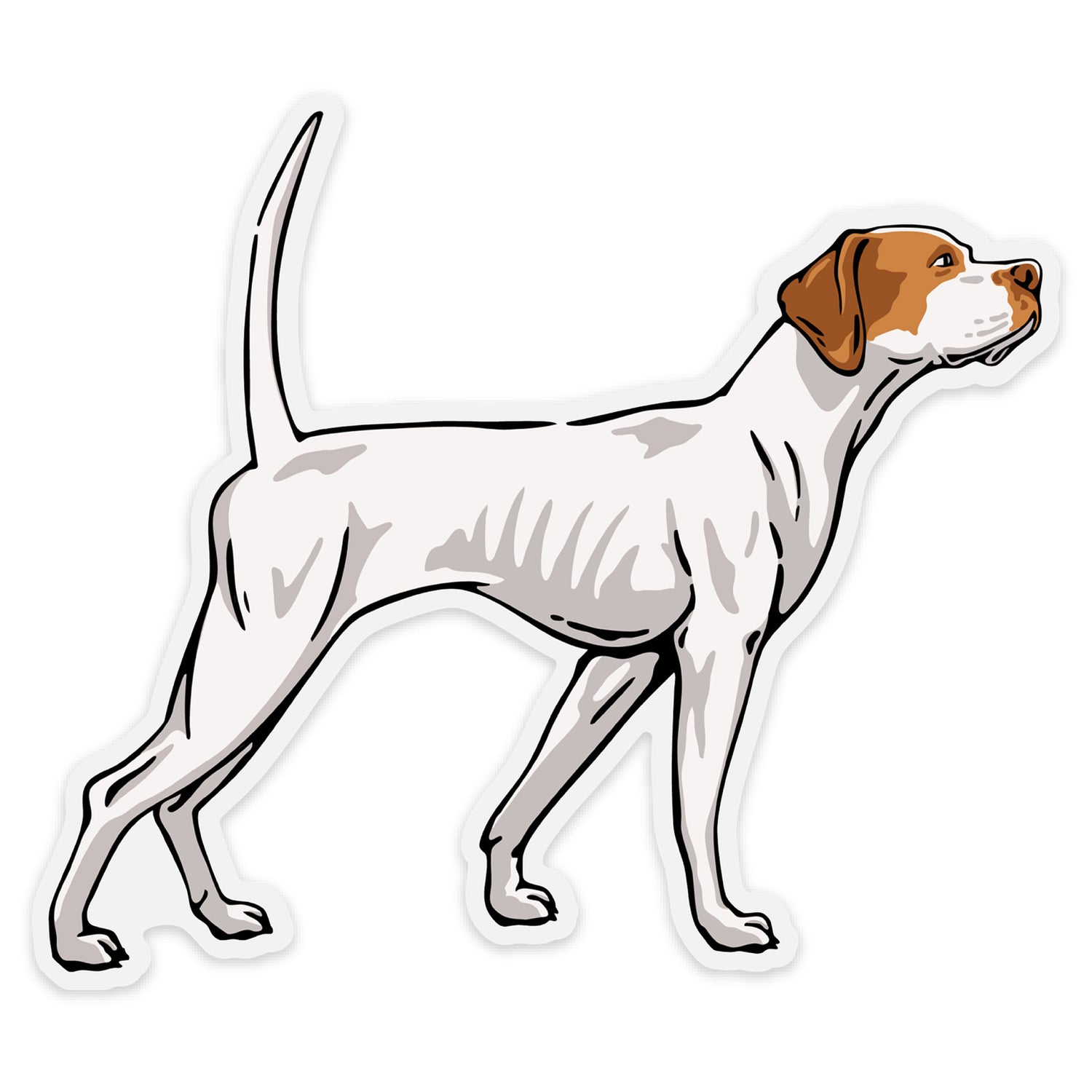 Brittany on Point Decal Sticker| Bird Dog of the Day