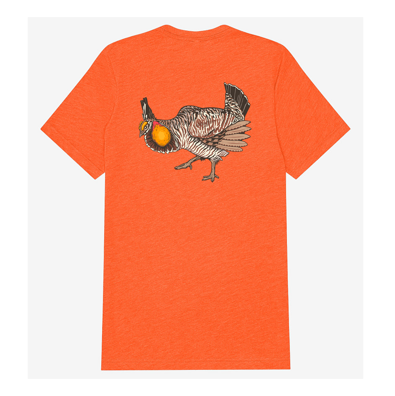 |Blaze Orange