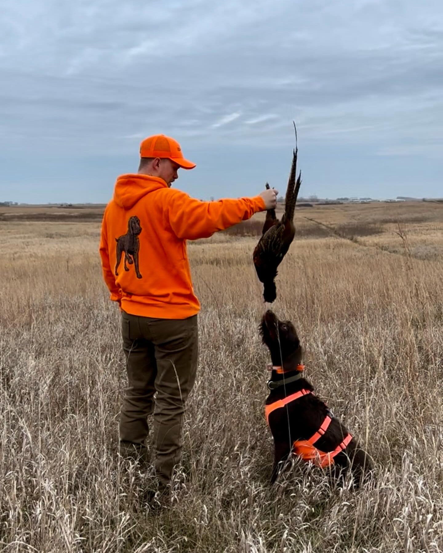 Pudelpointer Hoodie Bird Dog of the Day