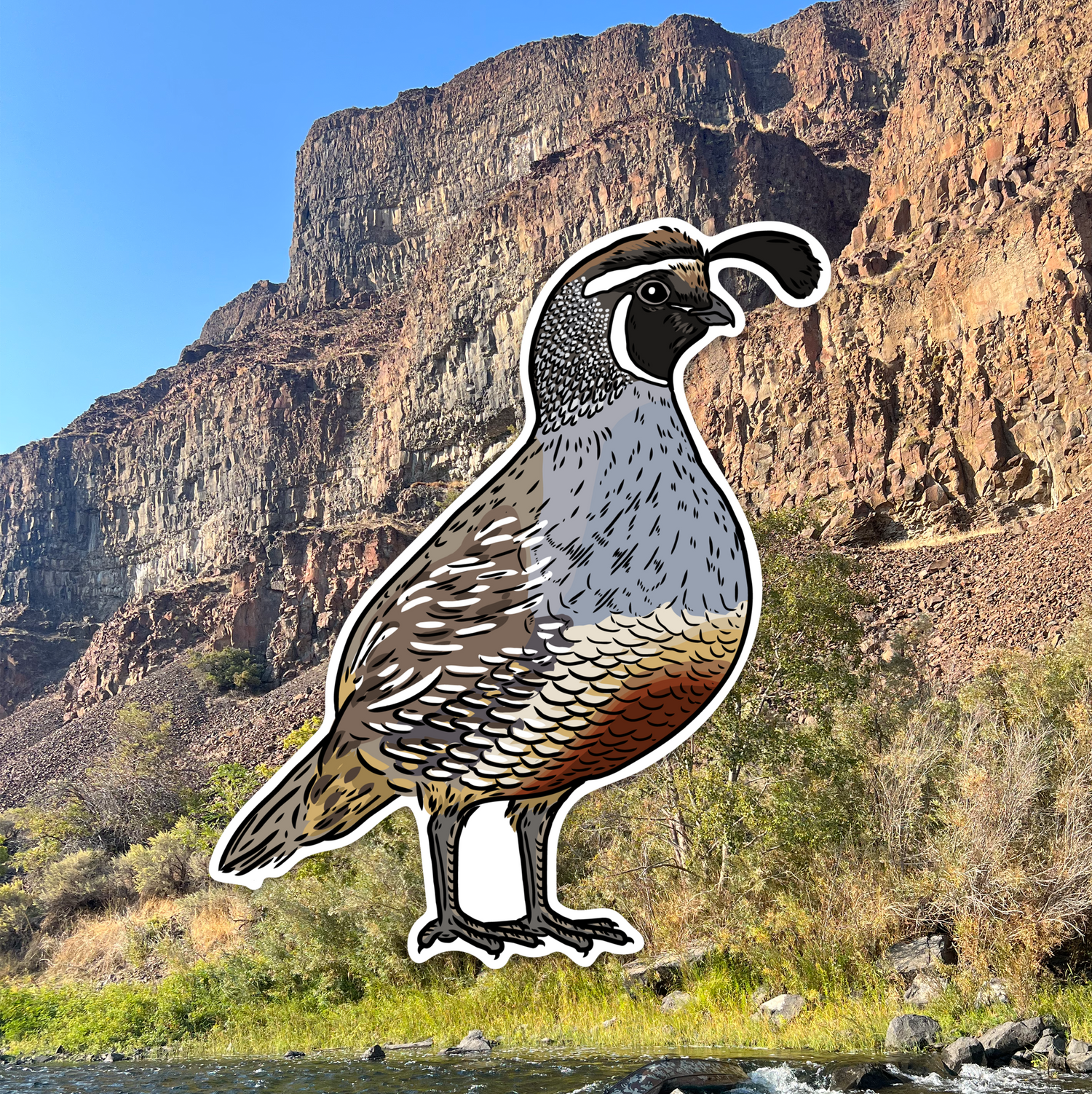Quail Grand Slam Sticker 6-Pack