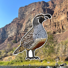 Quail Grand Slam Sticker 6-Pack