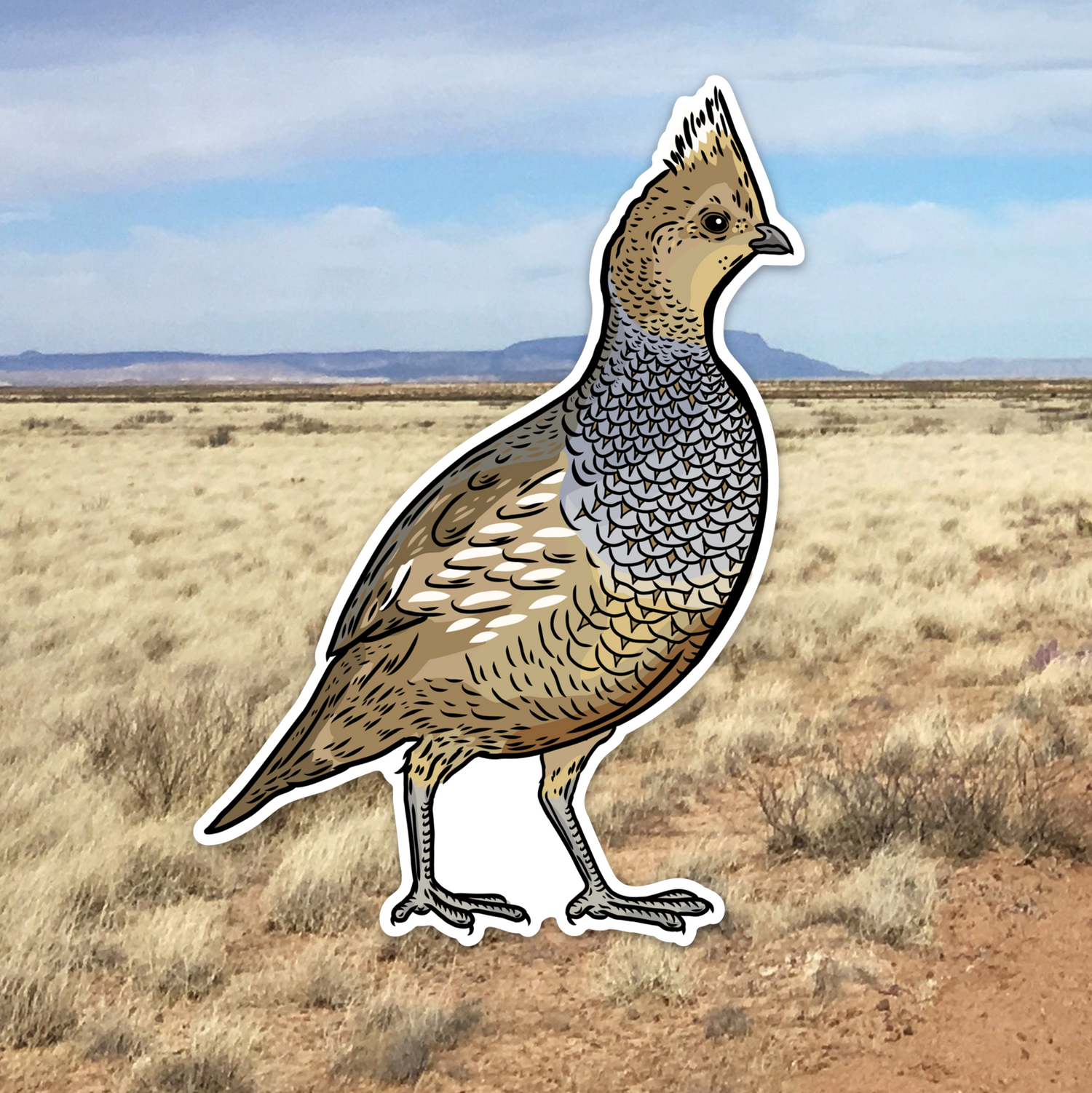 Quail Grand Slam Sticker 6-Pack