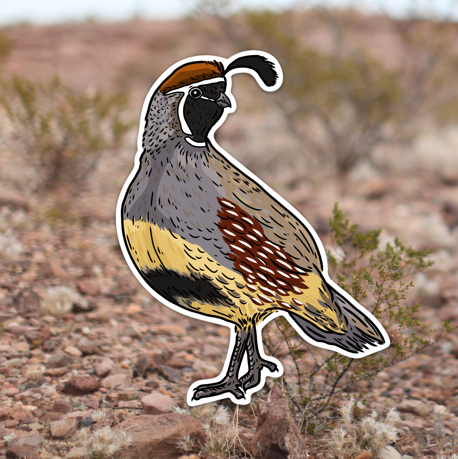 Quail Grand Slam Sticker 6-Pack