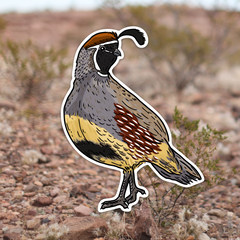 Quail Grand Slam Sticker 6-Pack