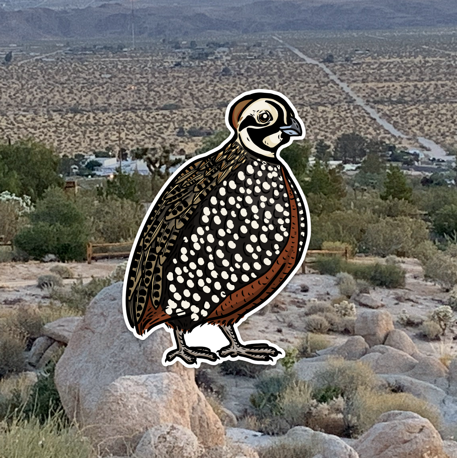 Quail Grand Slam Sticker 6-Pack