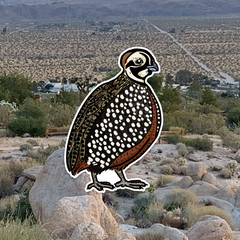 Quail Grand Slam Sticker 6-Pack