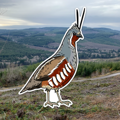 Quail Grand Slam Sticker 6-Pack
