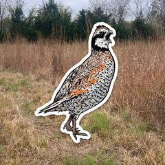 Quail Grand Slam Sticker 6-Pack