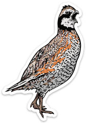 Quail Call Decal Sticker