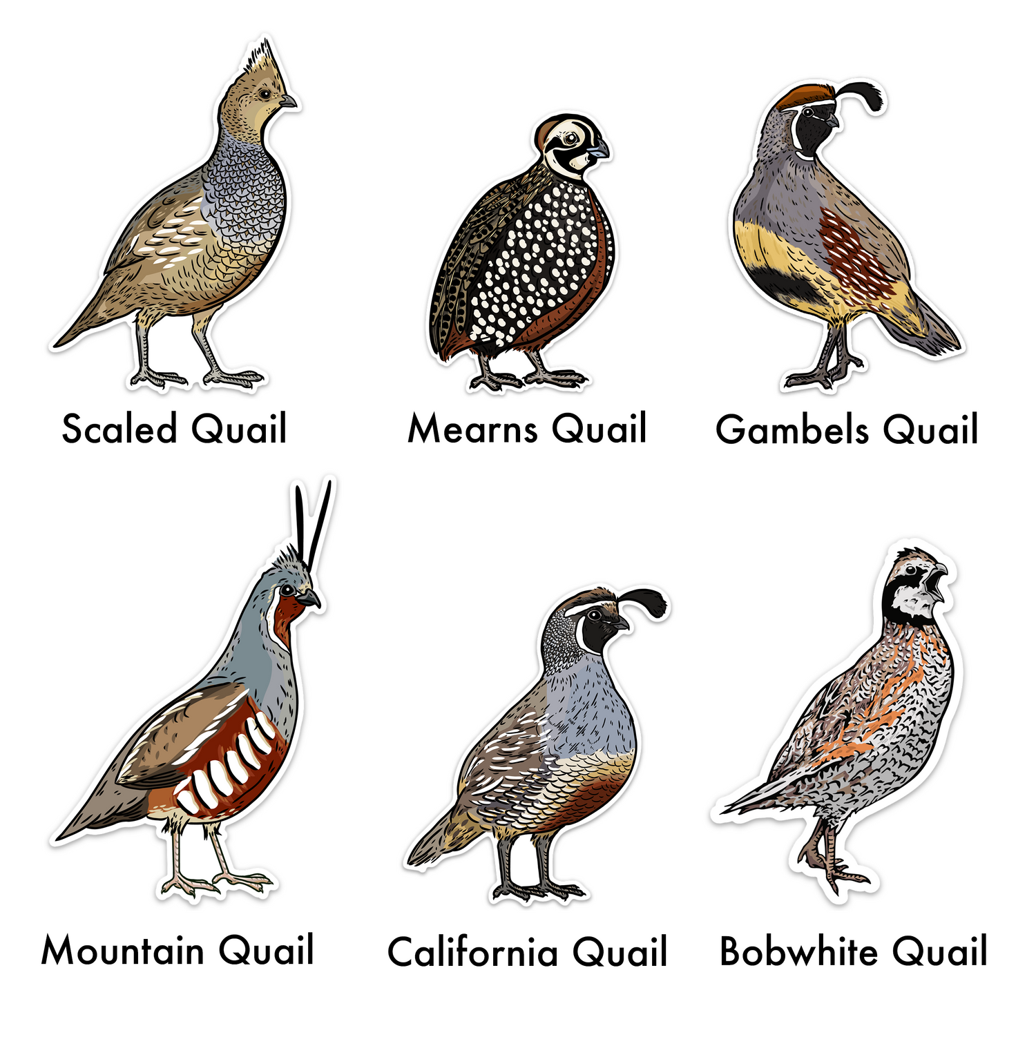 Quail Grand Slam Sticker 6-Pack