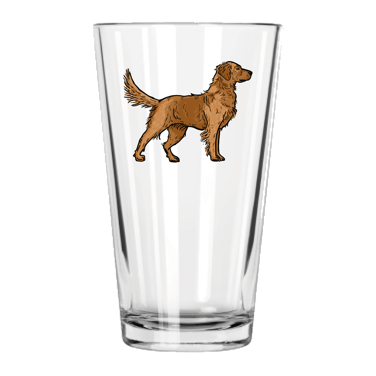 |Red Golden Retriever
