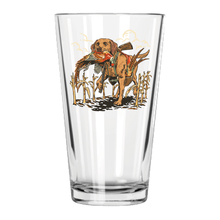 |Red Labrador Retriever
