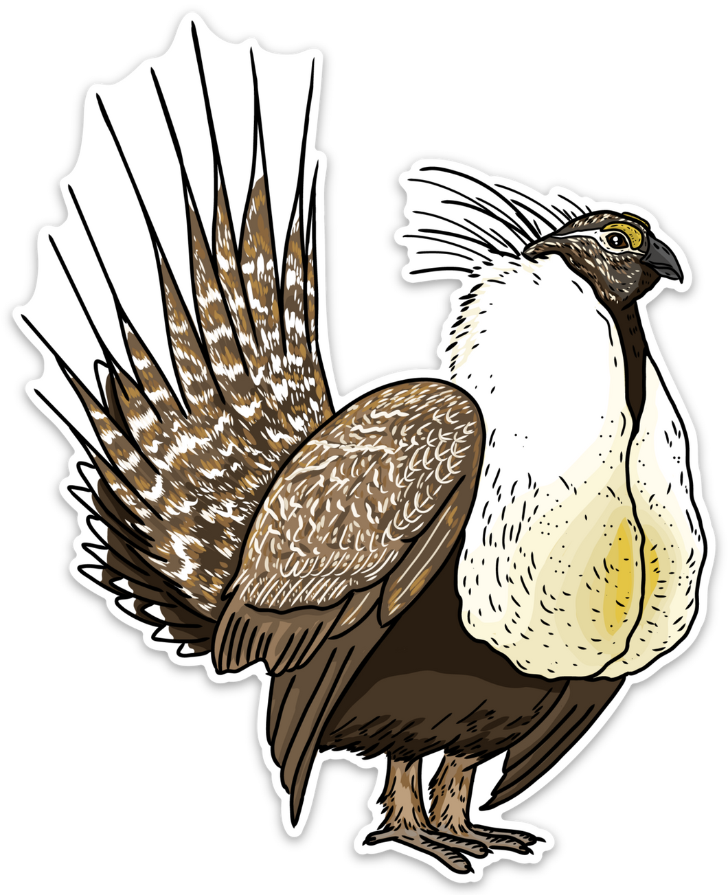 Sage Grouse Decal Sticker